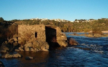 azeiteortigatejo16a1.JPG