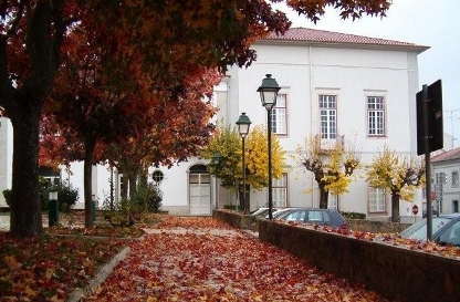 outonomacao.JPG